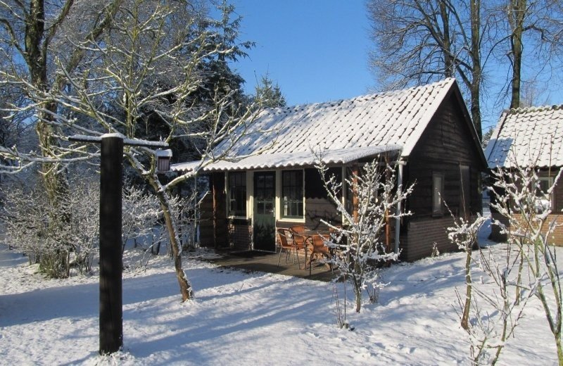 4-persoons Luxe hut 'De Aalbes'