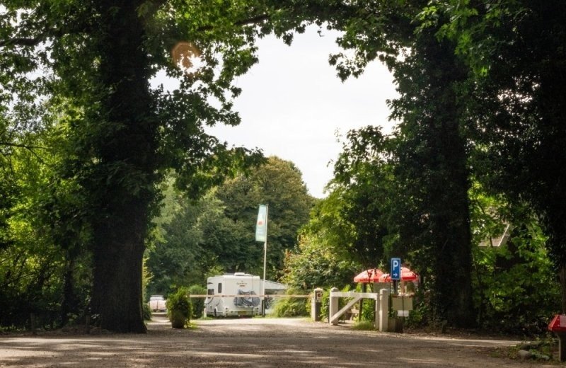 Bosrijke camping nederland