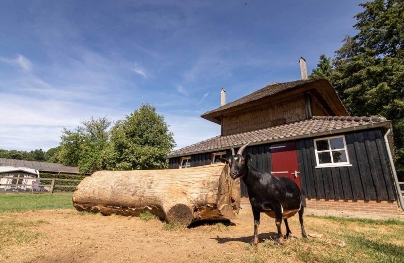 De helfterkamp img 4814