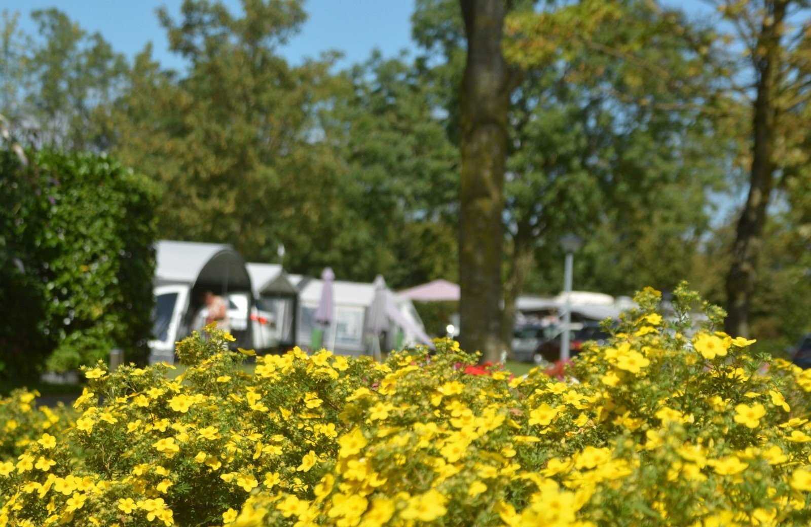 Camping de Uitwijk