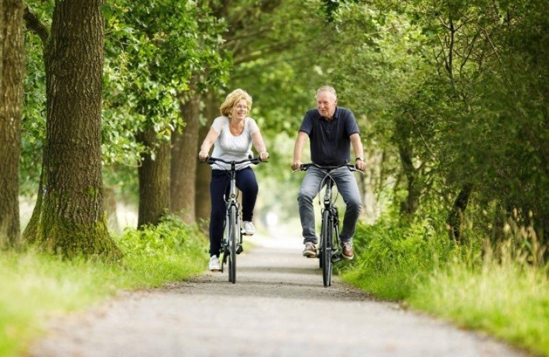 Wandelen en fietsen vanaf Camping De Grebbelinie