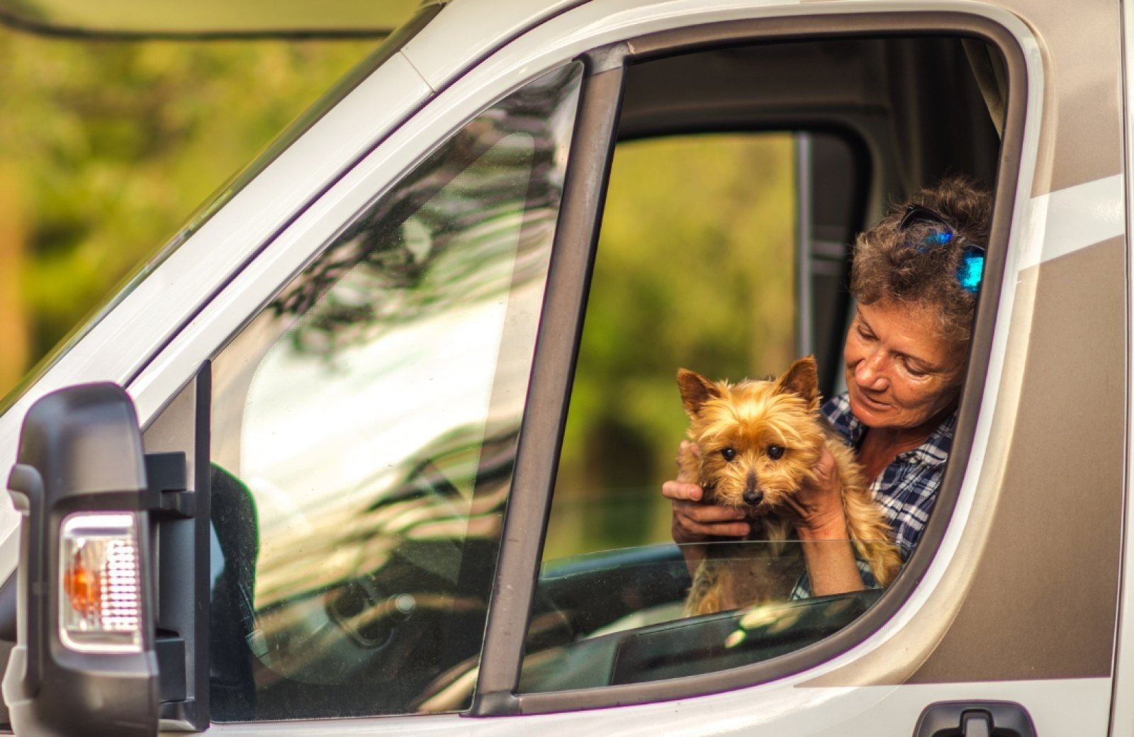 Neem je viervoeter mee