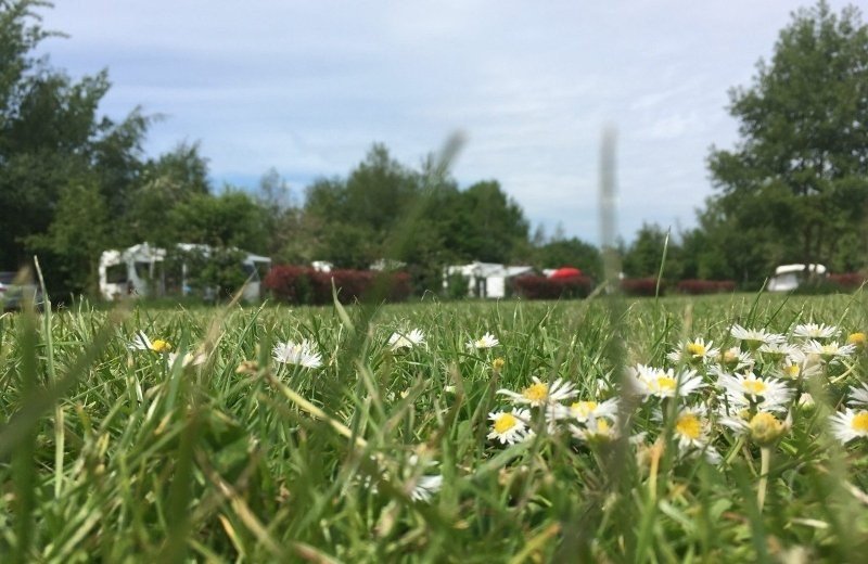 Ooit gehoord van De Heen?