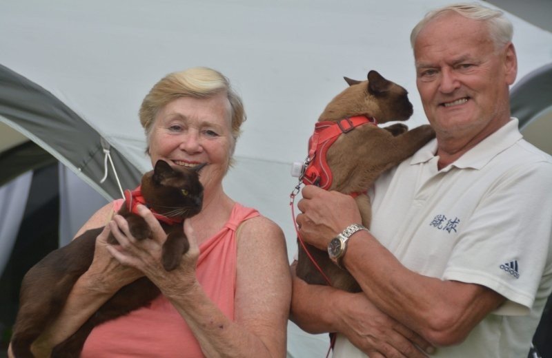 Van Spanje naar het Groene Bos