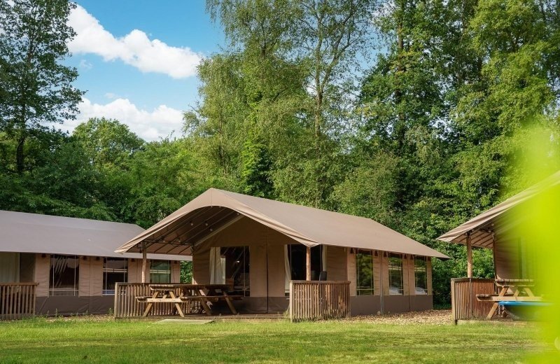 Safaritent Grote Duif