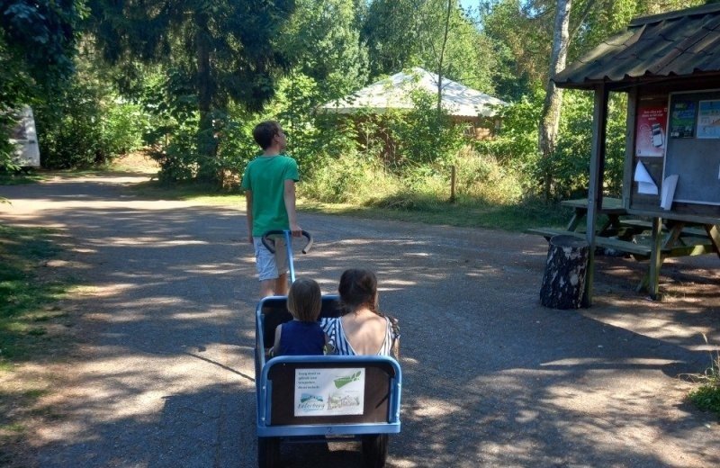 Startpagina bovenste kleine foto 6620de93bd877